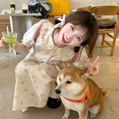 少男情狂